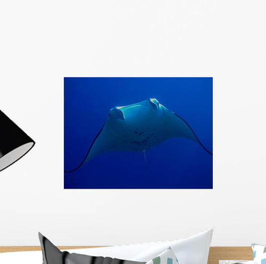Manta Wall Mural