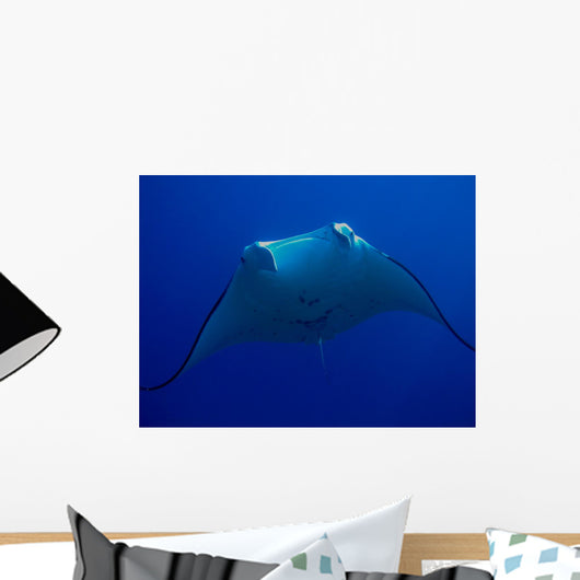 Manta Wall Mural