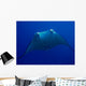 Manta Wall Mural