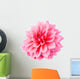 Pink Dahlia Wall Decal