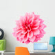 Pink Dahlia Wall Decal