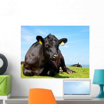 Angus Cattle shown on a wall