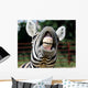 Zebra Smile and Teeth
