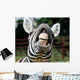 Zebra Smile and Teeth