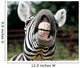 Zebra Smile and Teeth