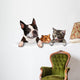 Pets Sign Wall Decal