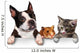 Pets Sign Wall Decal