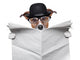 British dog reading Wall Decal