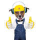 Under Construction Dog