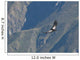 Flying condor in the Colca canyon,Peru Wall Mural