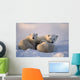 Polar Bearsfemale Cub Is Nursing Canadian Arctic Wall Mural