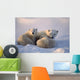 Polar Bearsfemale Cub Is Nursing Canadian Arctic Wall Mural