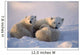 Polar Bearsfemale Cub Is Nursing Canadian Arctic Wall Mural