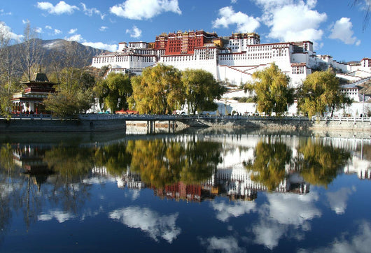 Potala -dalai lama residence Wall Mural