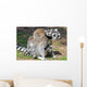 Ring Tailed Lemurs Wall Mural