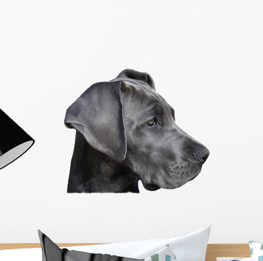 Young Great Dane Wall Decal
