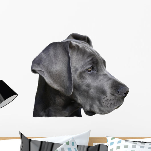 Young Great Dane Wall Decal