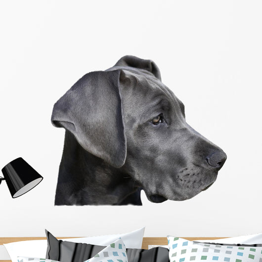 Young Great Dane Wall Decal