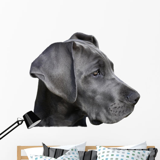 Young Great Dane Wall Decal