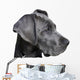 Young Great Dane Wall Decal