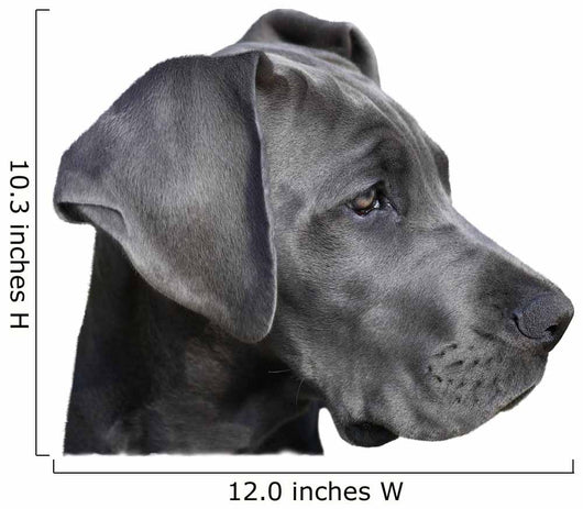 Young Great Dane Wall Decal