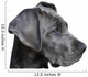 Young Great Dane Wall Decal