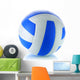 Volleyball Wall Decal