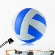 Volleyball Wall Decal