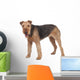 Nice airedale terrier breed dog Wall Decal