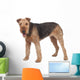 Nice airedale terrier breed dog Wall Decal