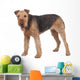 Nice airedale terrier breed dog Wall Decal