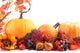 Pumpkins and Autumn Decorations