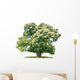 exempt chestnut in front of white background Wall Decal