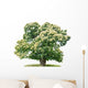exempt chestnut in front of white background Wall Decal