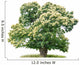 exempt chestnut in front of white background Wall Decal