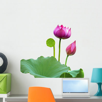 Beautiful Lotus Single White Wall Decal shown on a wall
