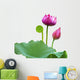 Beautiful lotus(Single isolated on white background) Wall Decal