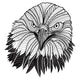 Bald eagle head as USA symbol for mascot or emblem design logo. Wall Decal