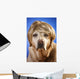 Labrador with Wig Wall Mural