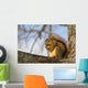 Fox Squirrel 1 Wall Mural