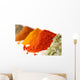 Heaps Various Ground Spices