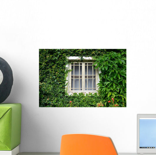 Window Covered with Green
