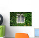 Window Covered with Green