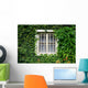 Window Covered with Green