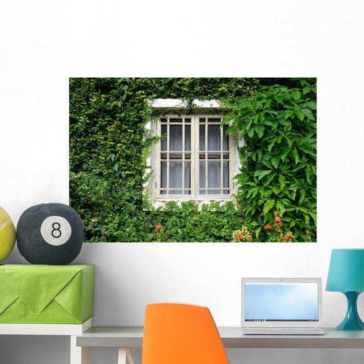Window Covered with Green