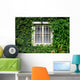 Window Covered with Green