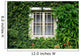 Window Covered with Green