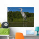 Grey Heron Ardea Cinerea Wall Mural