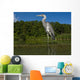 Grey Heron Ardea Cinerea Wall Mural