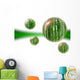 bamboo orbs Wall Mural